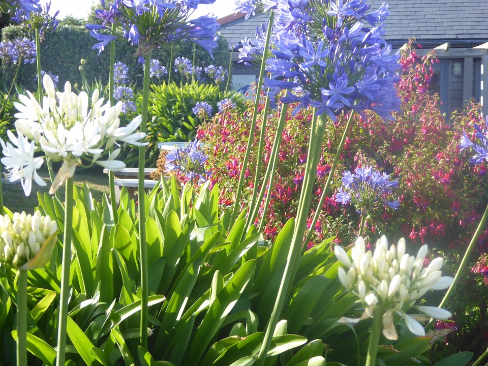 United Kingdom - Isles Of Scilly - 
