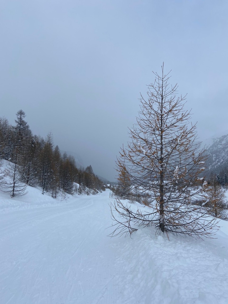 Schweiz - Pontresina - 