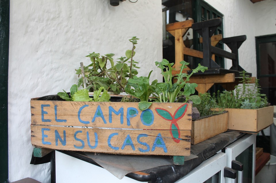 Colombia - Bogotá - Das Feld, bei Ihnen zu Haus