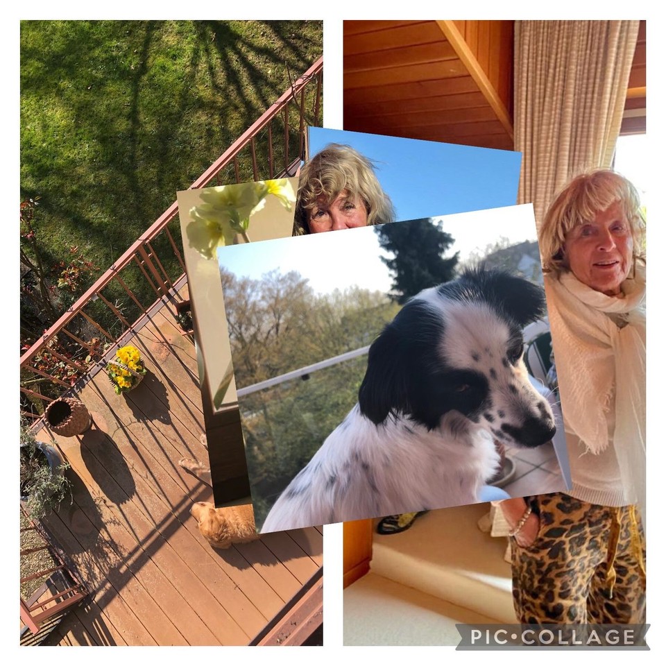Deutschland - Ludwigshafen - At home. Mutige Collage 😁