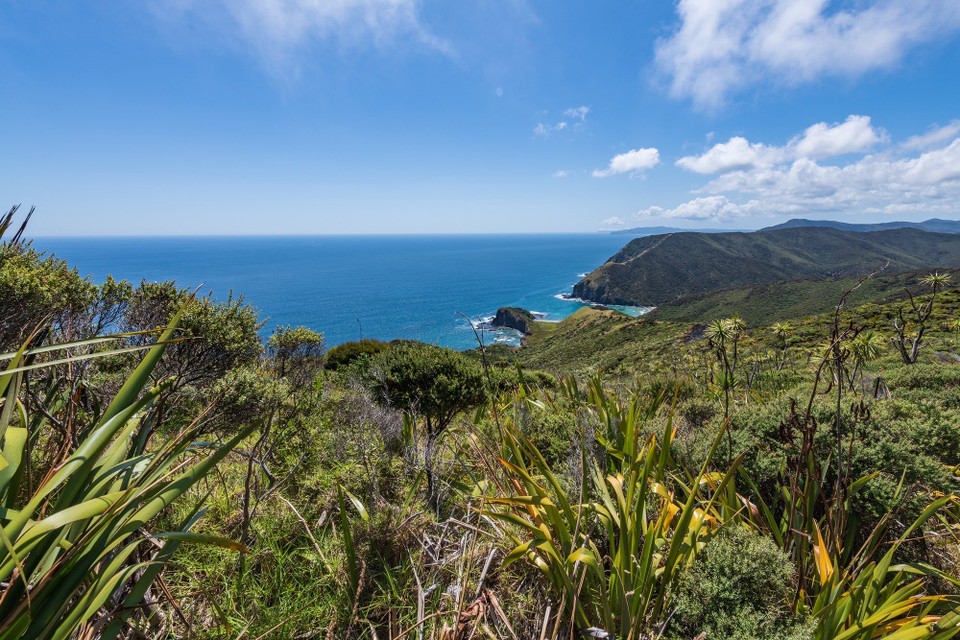 Neuseeland - Kap Reinga - 