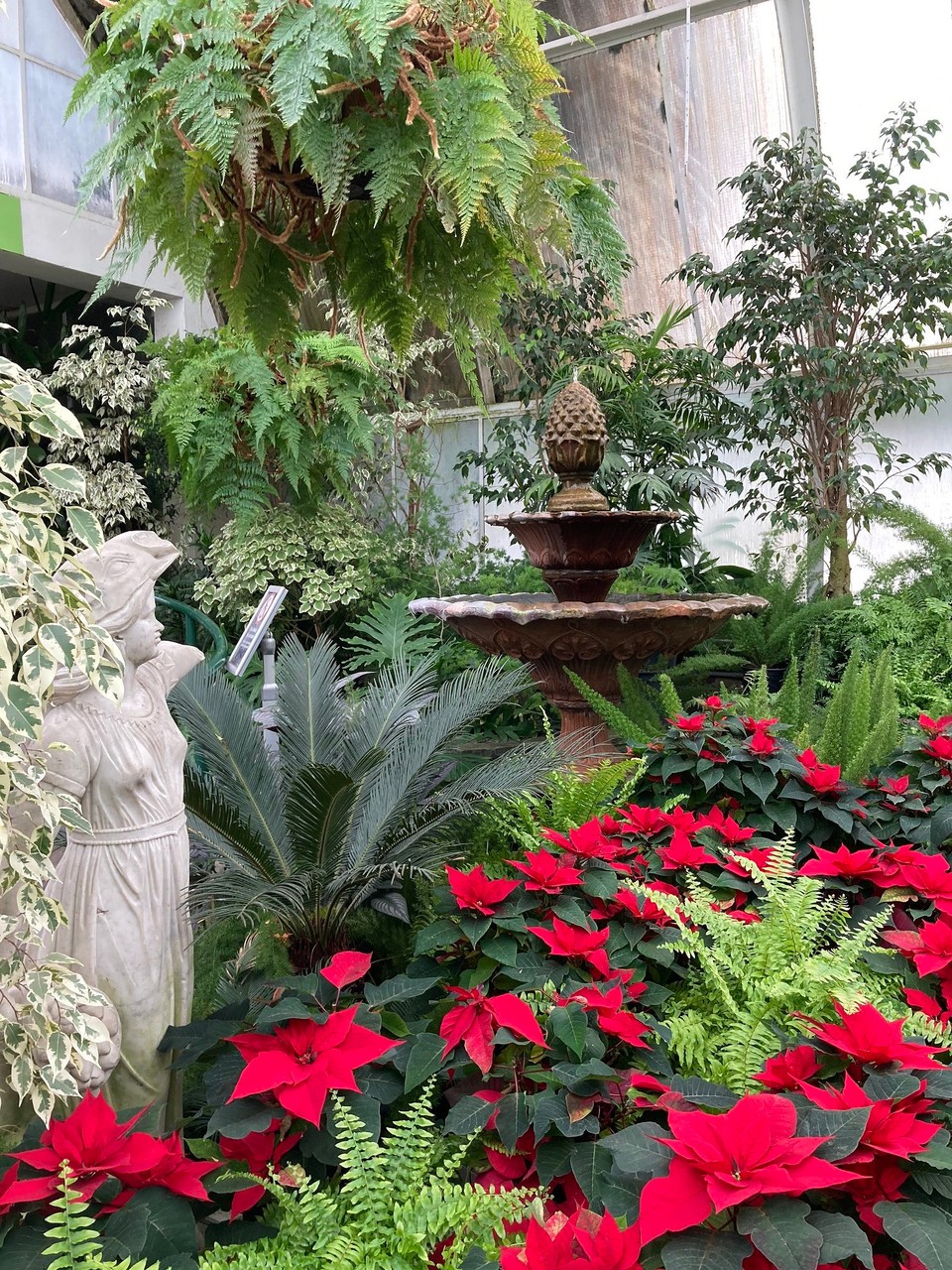 Neuseeland - Christchurch - 