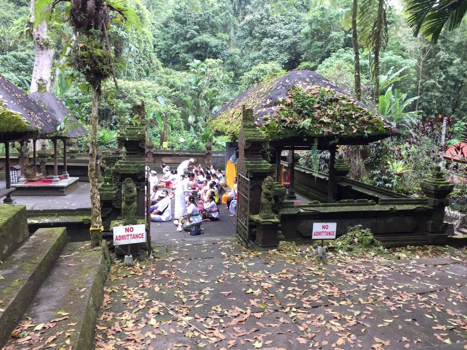  - Indonesien, Tabanan, 82152 - Zeremonie im Tempel 