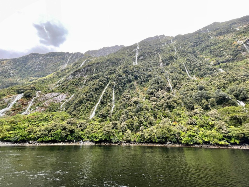 Neuseeland - Milford Sound - 