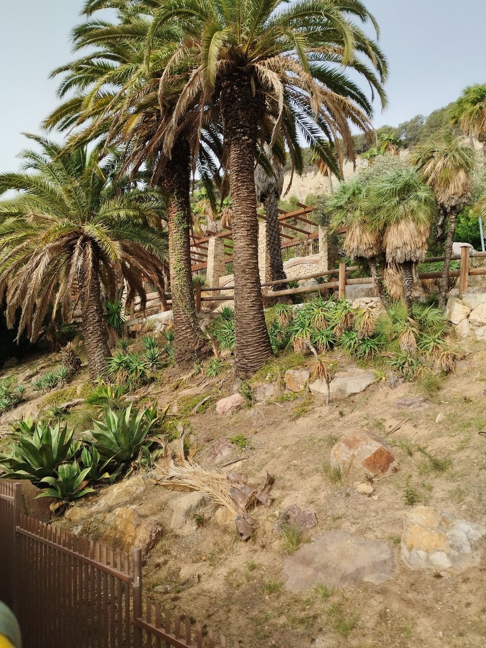 Spanien - Barcelona - Und jetzt hoch auf den Montjuic😃