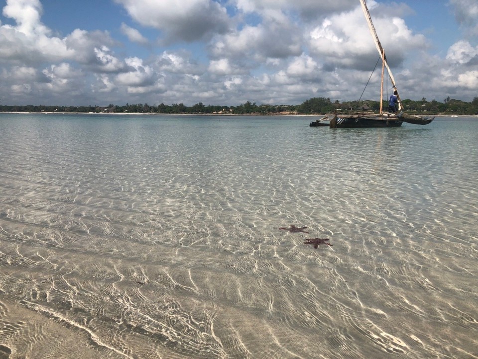 Kenia - Kwale - 