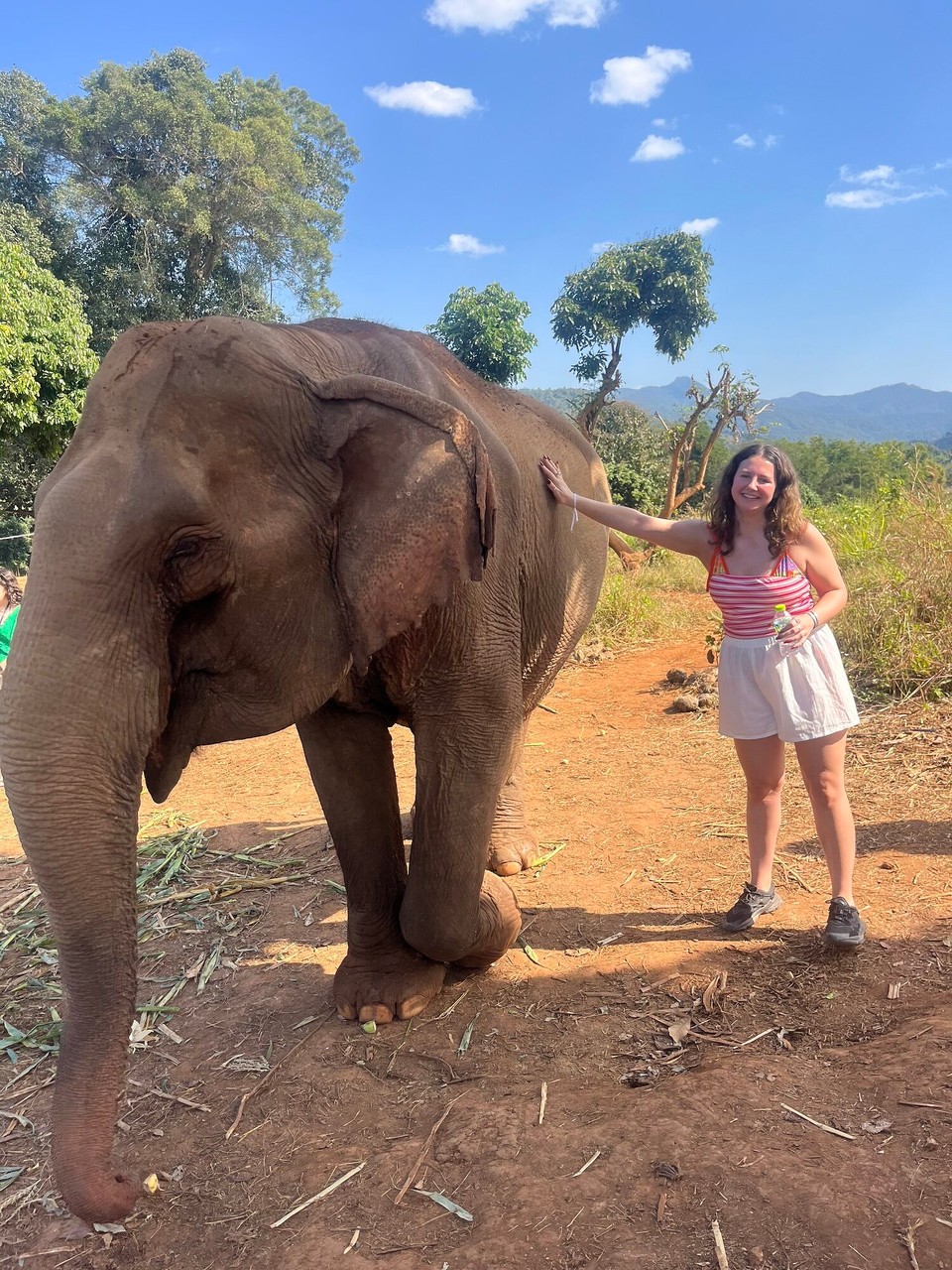 Thailand - Mueang Chiang Mai - This is the grandmother ele who was 73 years old. It is sad because she was rescued from a circus and she still dances due to muscle memory. I didn’t do the bathing as it didn’t sit right with me but others in the group did 
