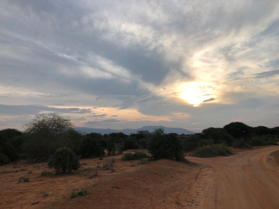 Kenia - Taita - 