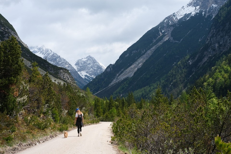 Österreich - Scharnitz - 