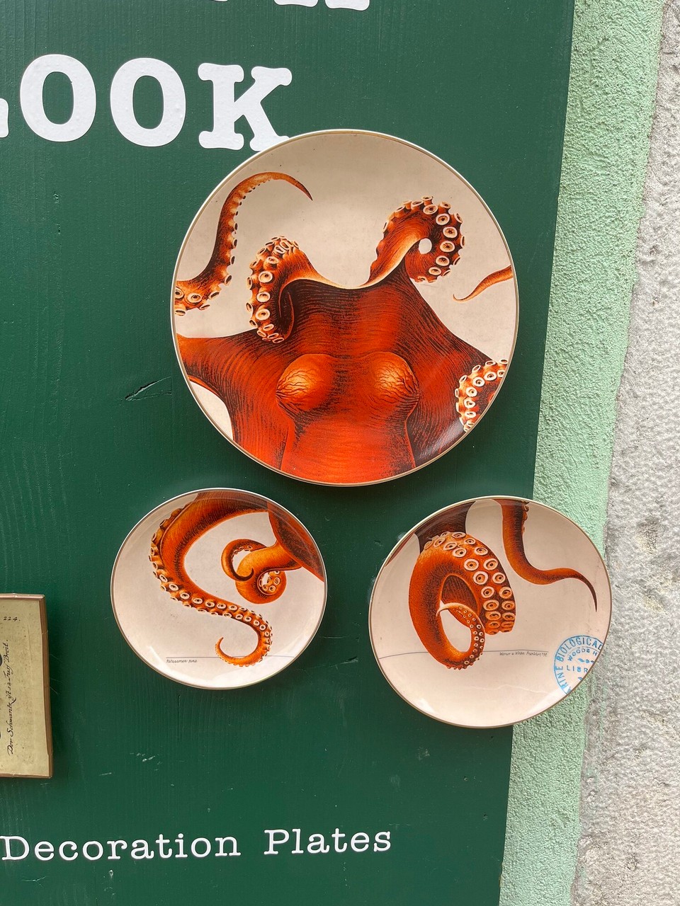 Kroatien - Motovun - 