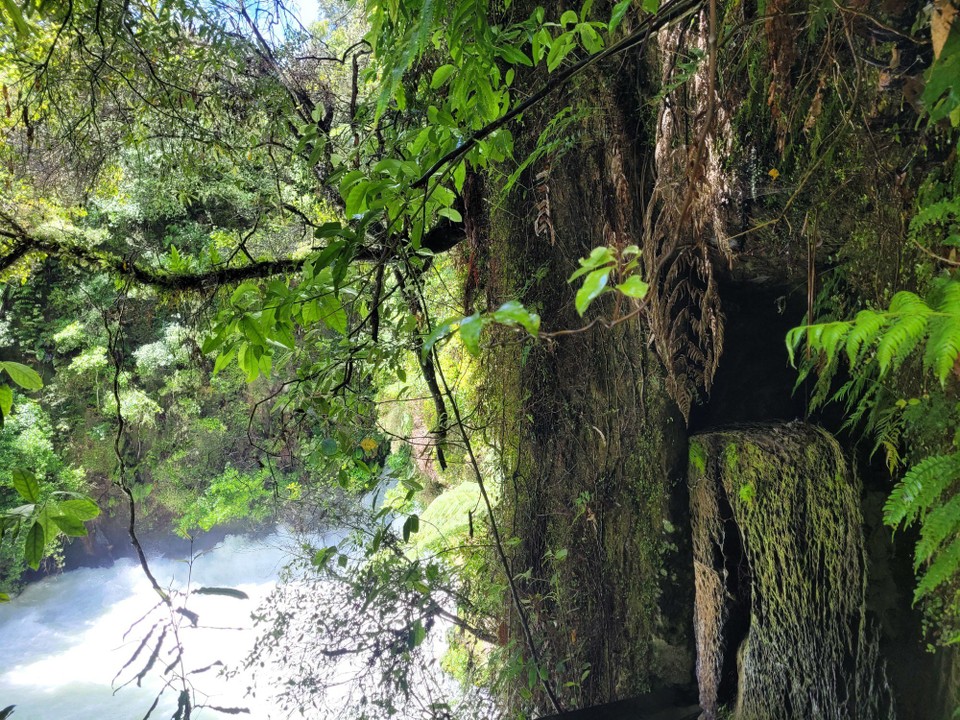 Neuseeland - Rotorua - 
