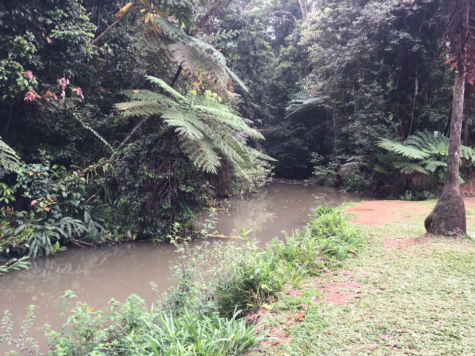  - Ausztrália, Atherton Tablelands - 