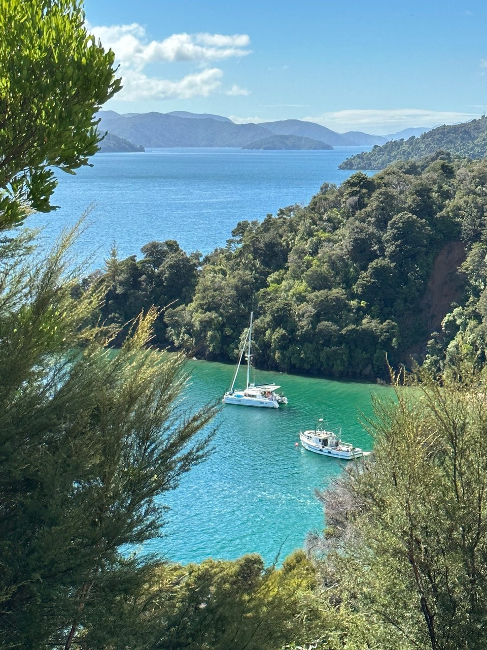 Neuseeland - Christchurch - wunderschöne Aussicht mit glasklaren Meer Richtung Picton. 