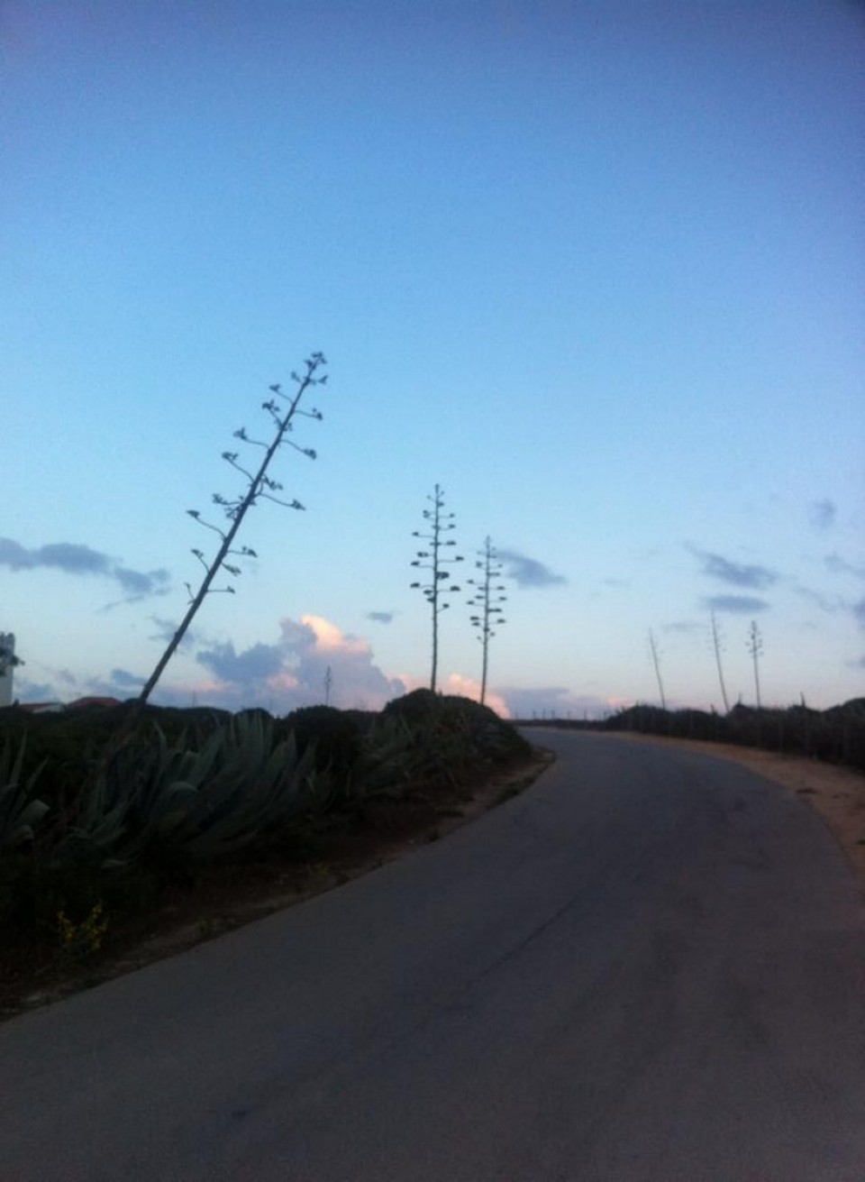 Portugal - Sagres - 