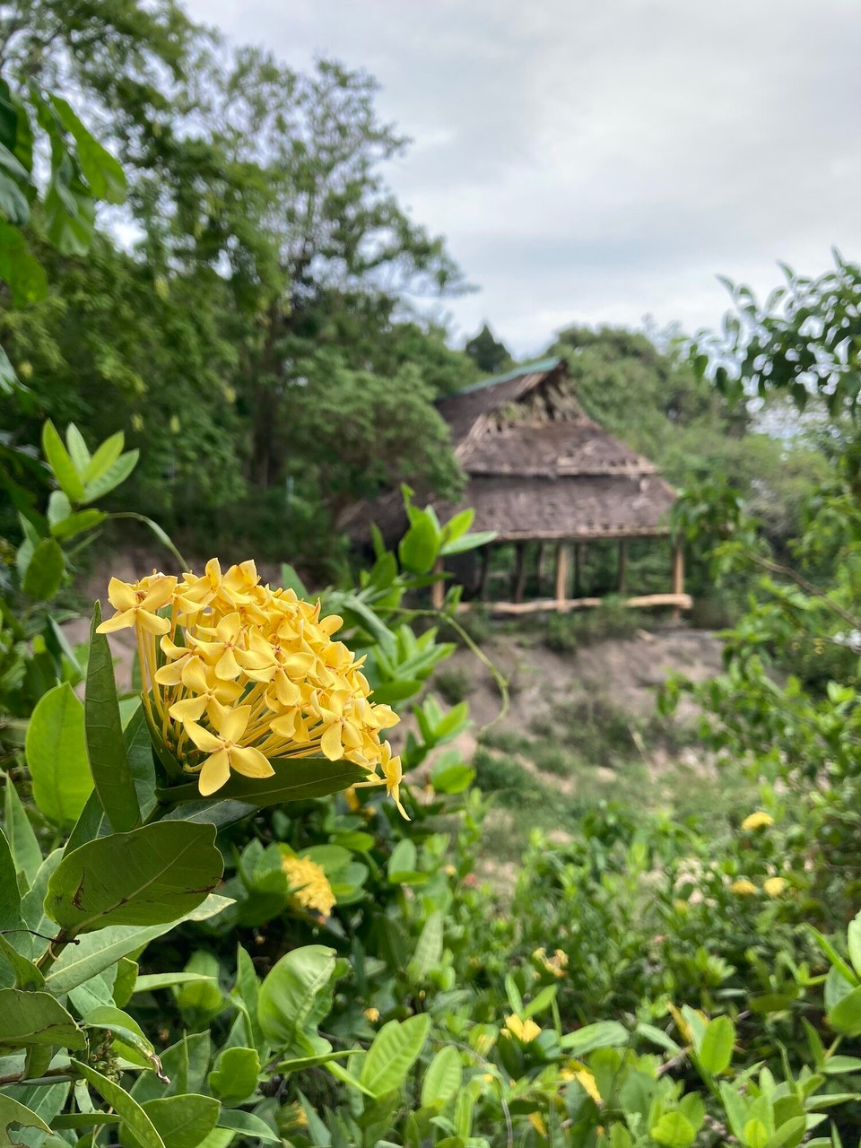 Thailand - Ko Pha-ngan - 