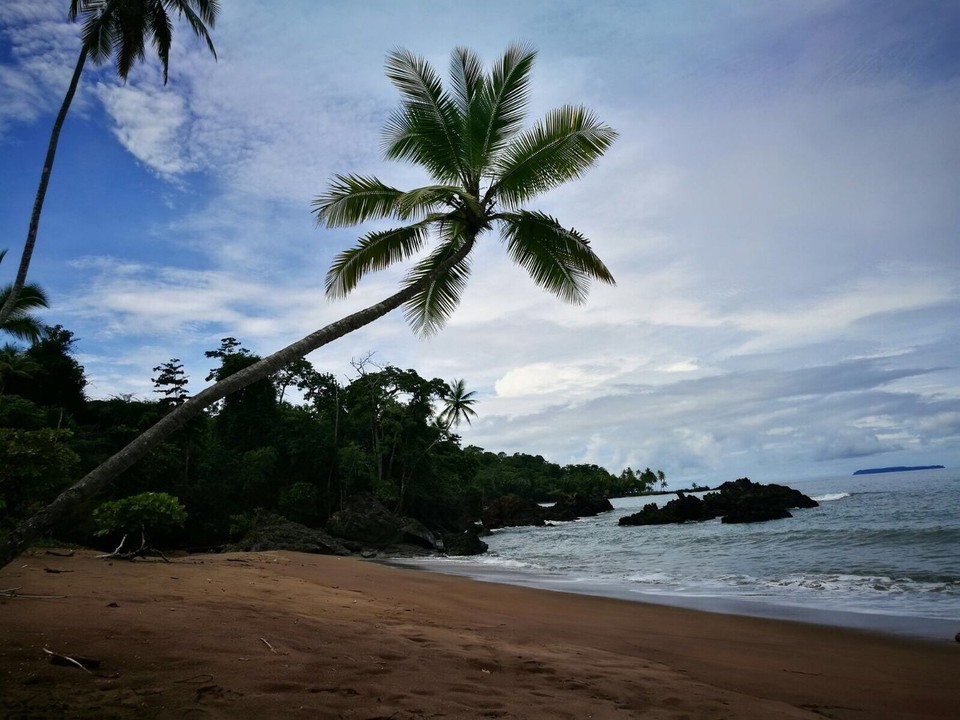Costa Rica - Osa - 