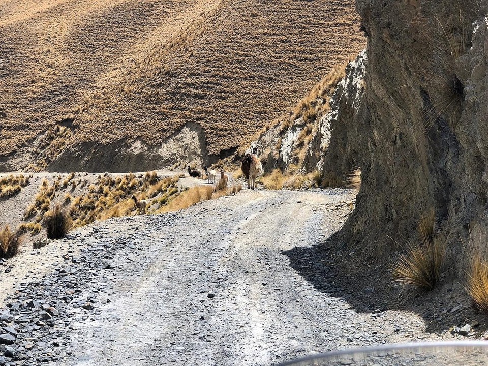 Bolivien -  - 