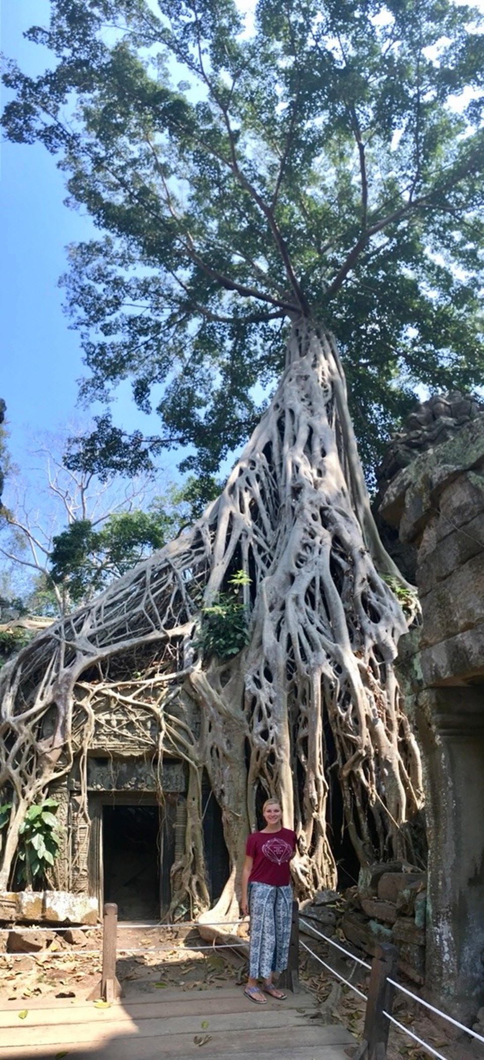 Cambodia - Siem Reap - 