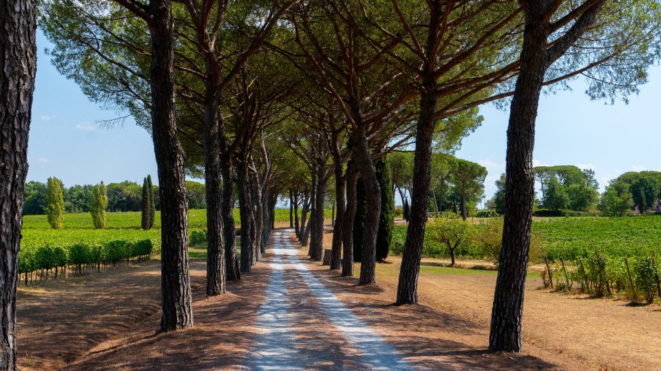 Italien - Lucca - 