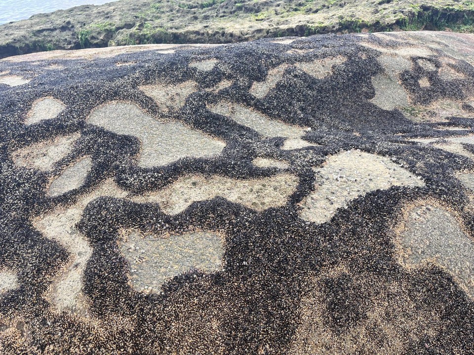 Brasilien - Salvador - 