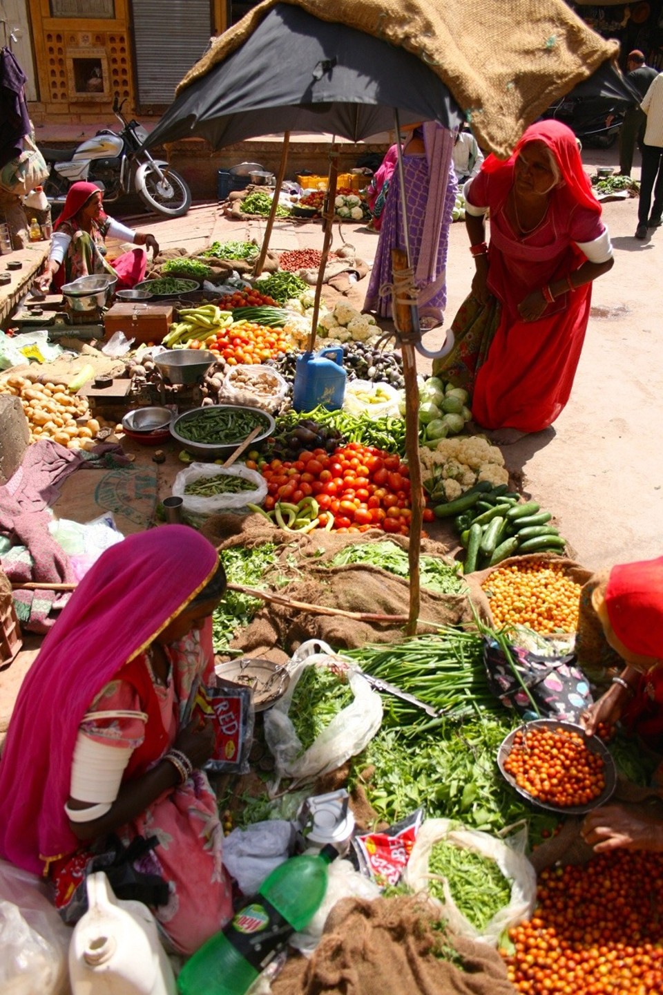 Jaisalmer - Jaisalmer - 