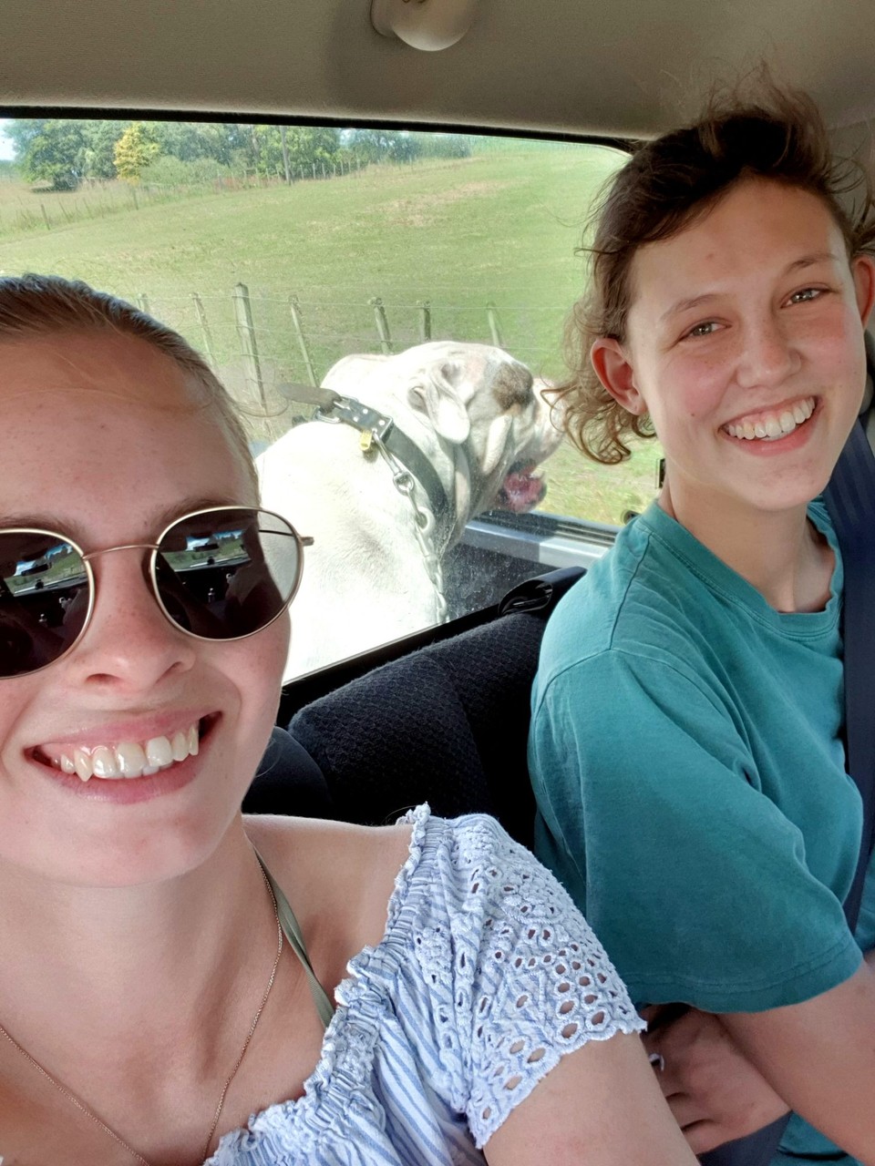 Neuseeland - Arapuni - Auf dem Weg zum Fluss! Brouce darf hinten auf dem UTE sitzen😂