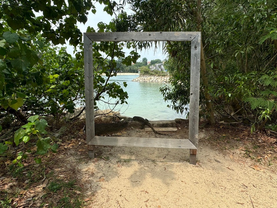 Singapur - Singapur - Extra für üs poset😉
Aso d Echsa isch gmaint, d Kunst het sich per Zuafall inagschlicha...