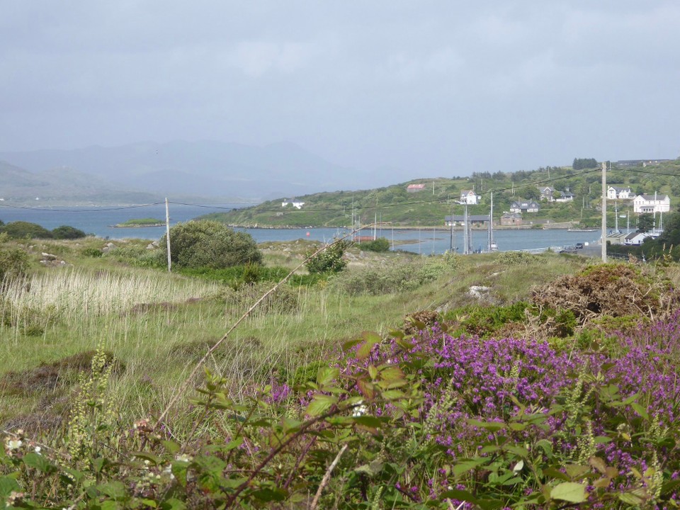 Ireland - Bere Island - 