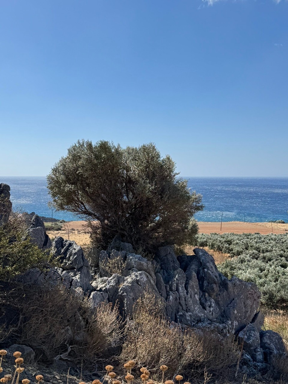 Griechenland - Myrthios - 