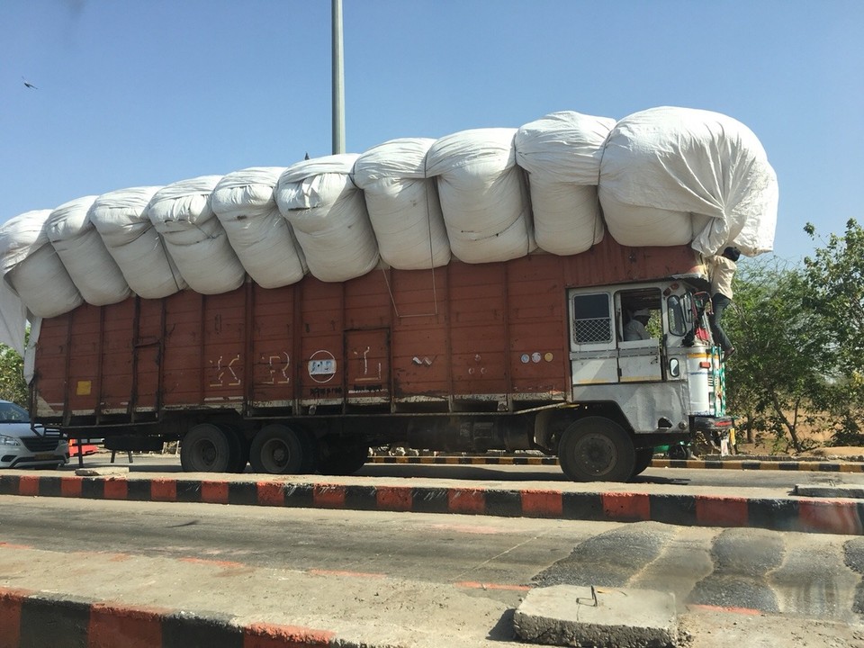 Indien - Jaipur - 