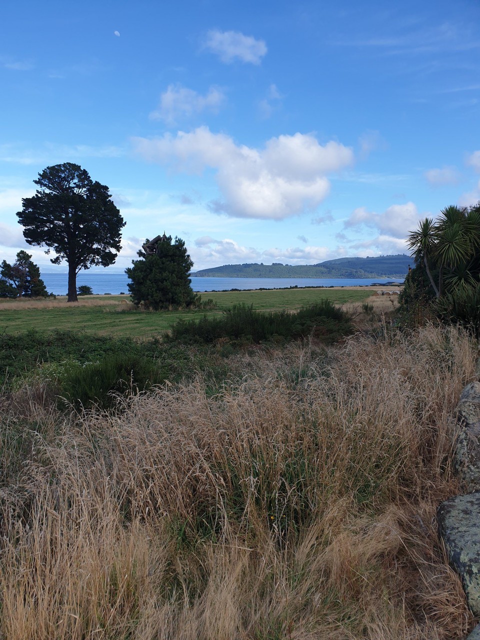 Neuseeland - Taupo - 