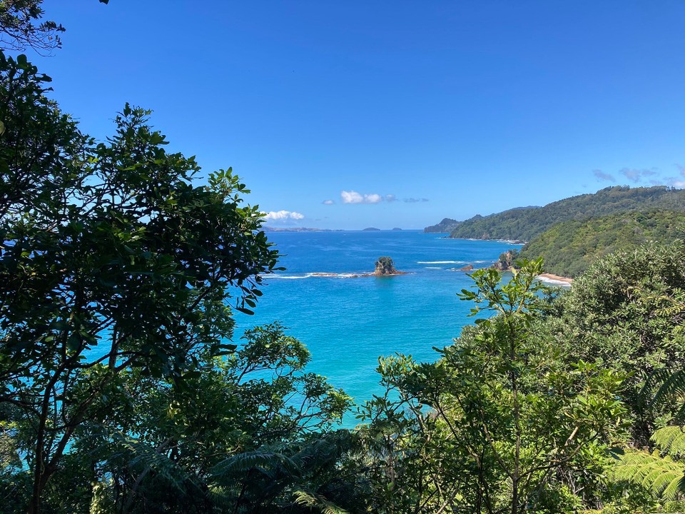 Neuseeland - Whitianga - Hoch hinaus zur nächsten Bucht