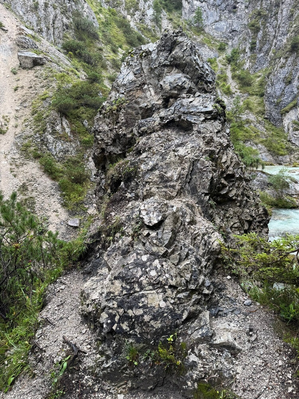 Österreich - Scharnitz - Also ich sehe da einen Steinriesen! 
