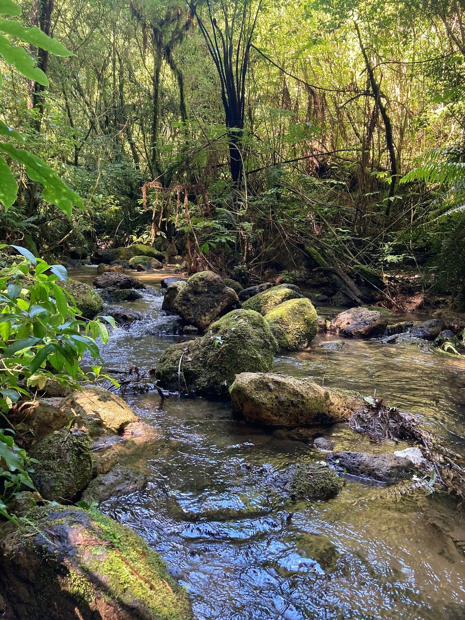 Neuseeland - Omanawa - Weiter geht’s im McLaren Park