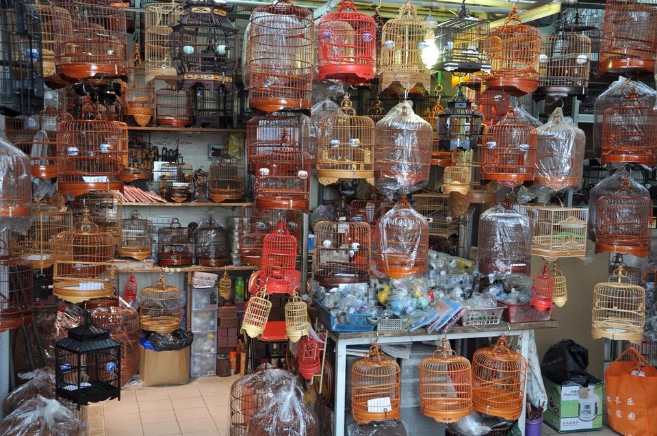 Hongkong - Hongkong - ...und fast überall noch ein Vögeli drin...