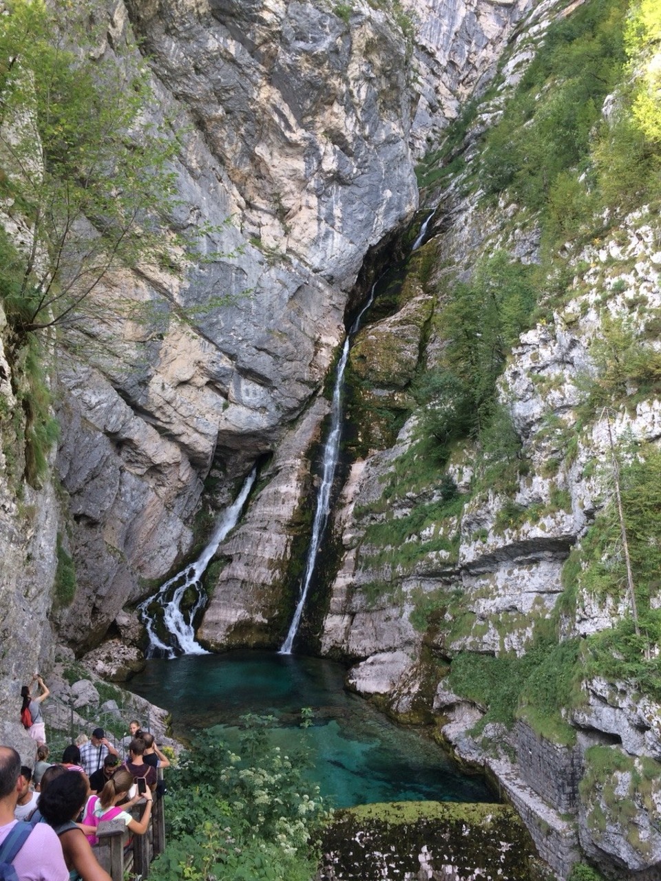 Slowenien - Bohinj - 
