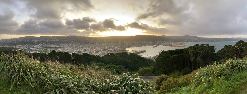 Neuseeland - Wellington - Mount Victoria - Blick über Wellington
