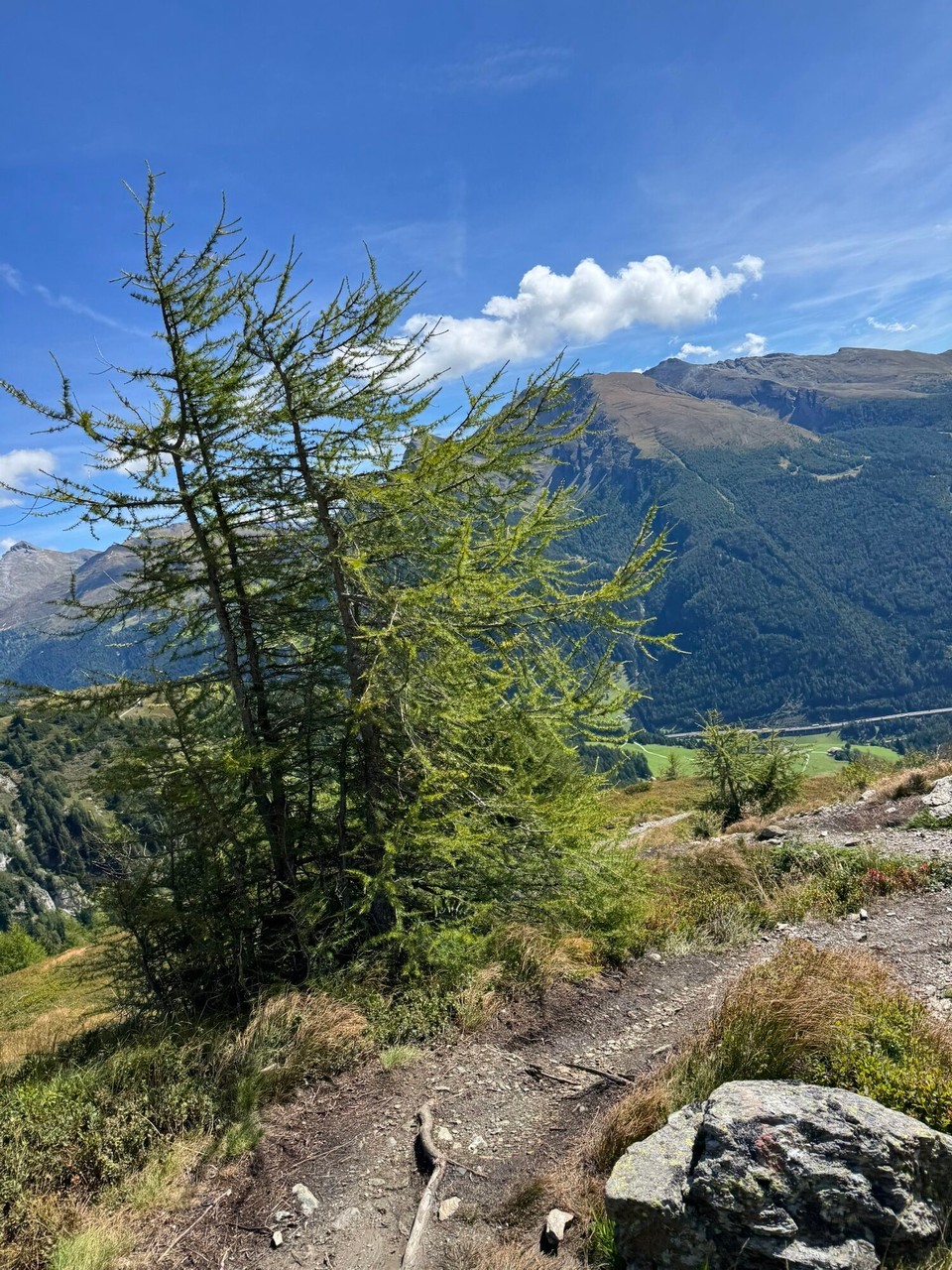 Italien - Brenner - 