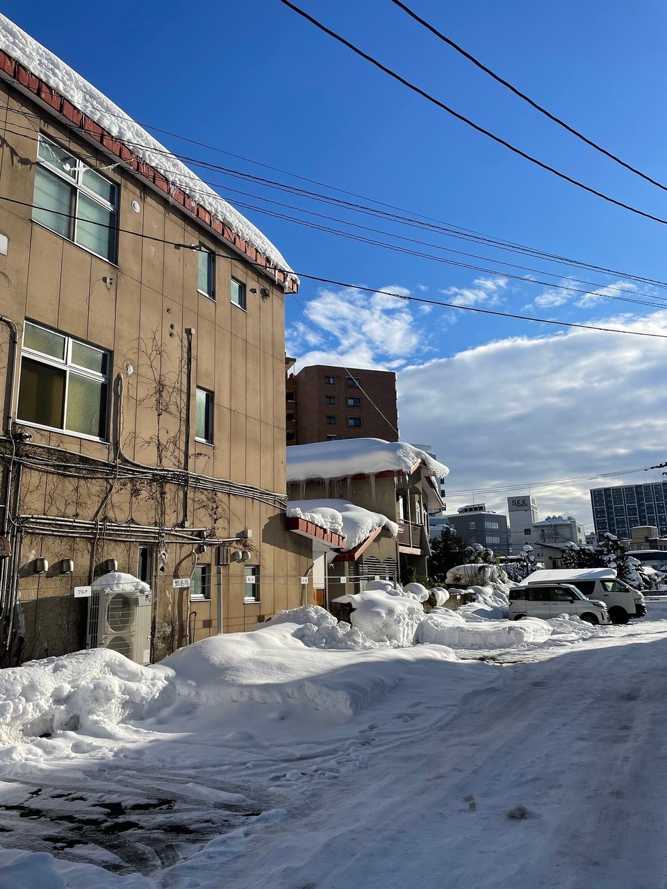 Japan - Hirosaki - 