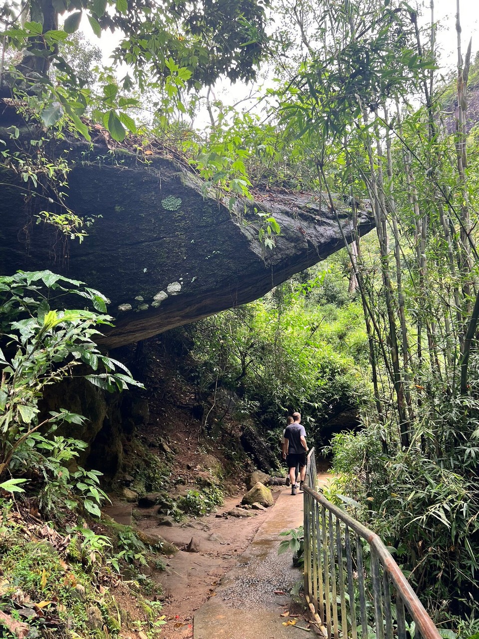 Sri Lanka -  - 