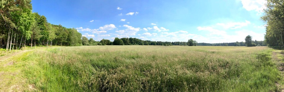 Deutschland - Bad Saarow - 