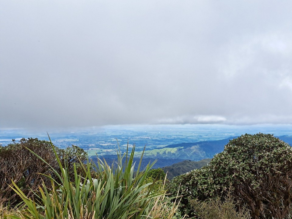 Neuseeland - unbekannt - 