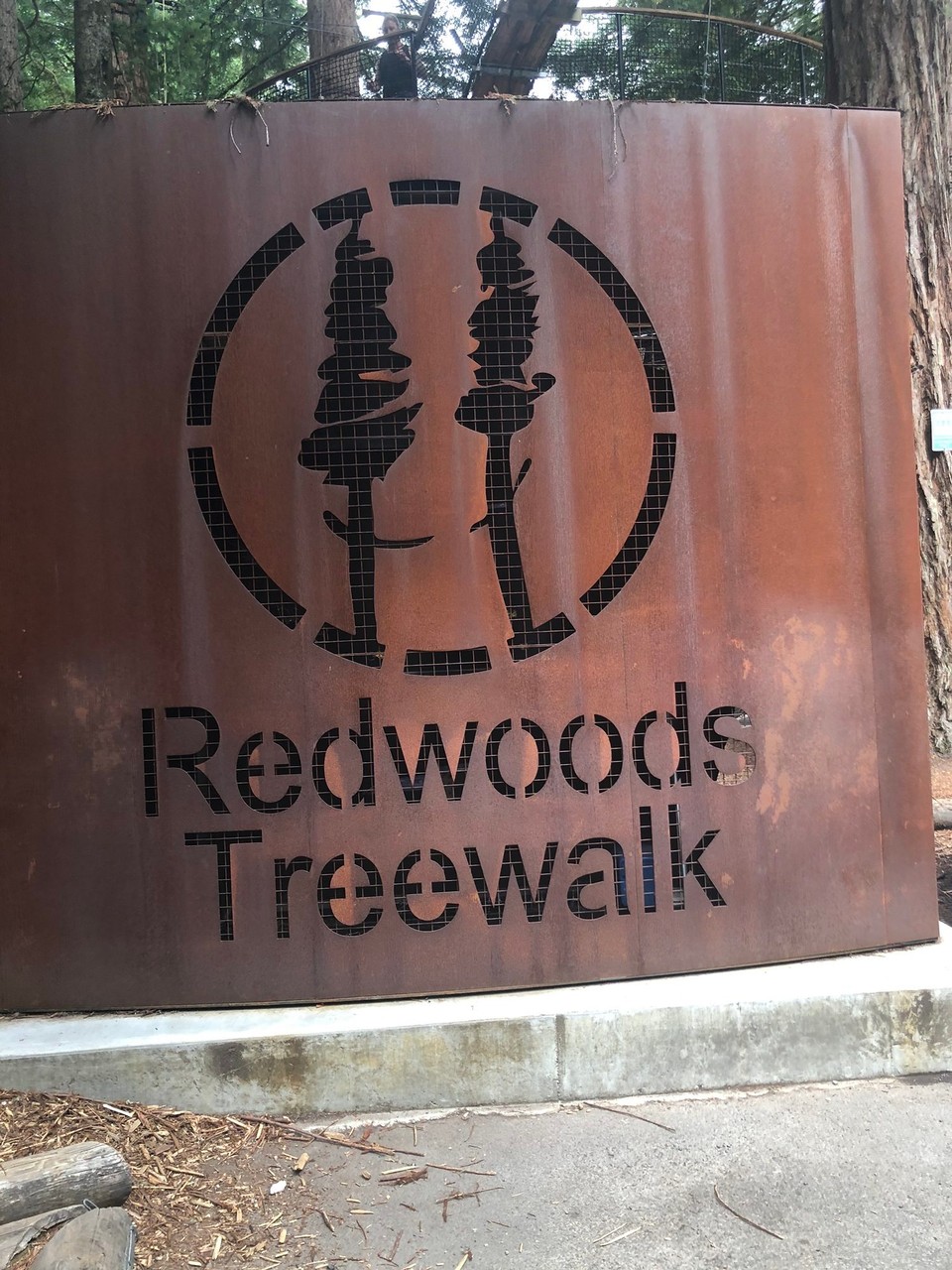 Neuseeland - Whakarewarewa - Toller Rundgang auf den Redwood Trees im Whakarewarewa Forest Park
