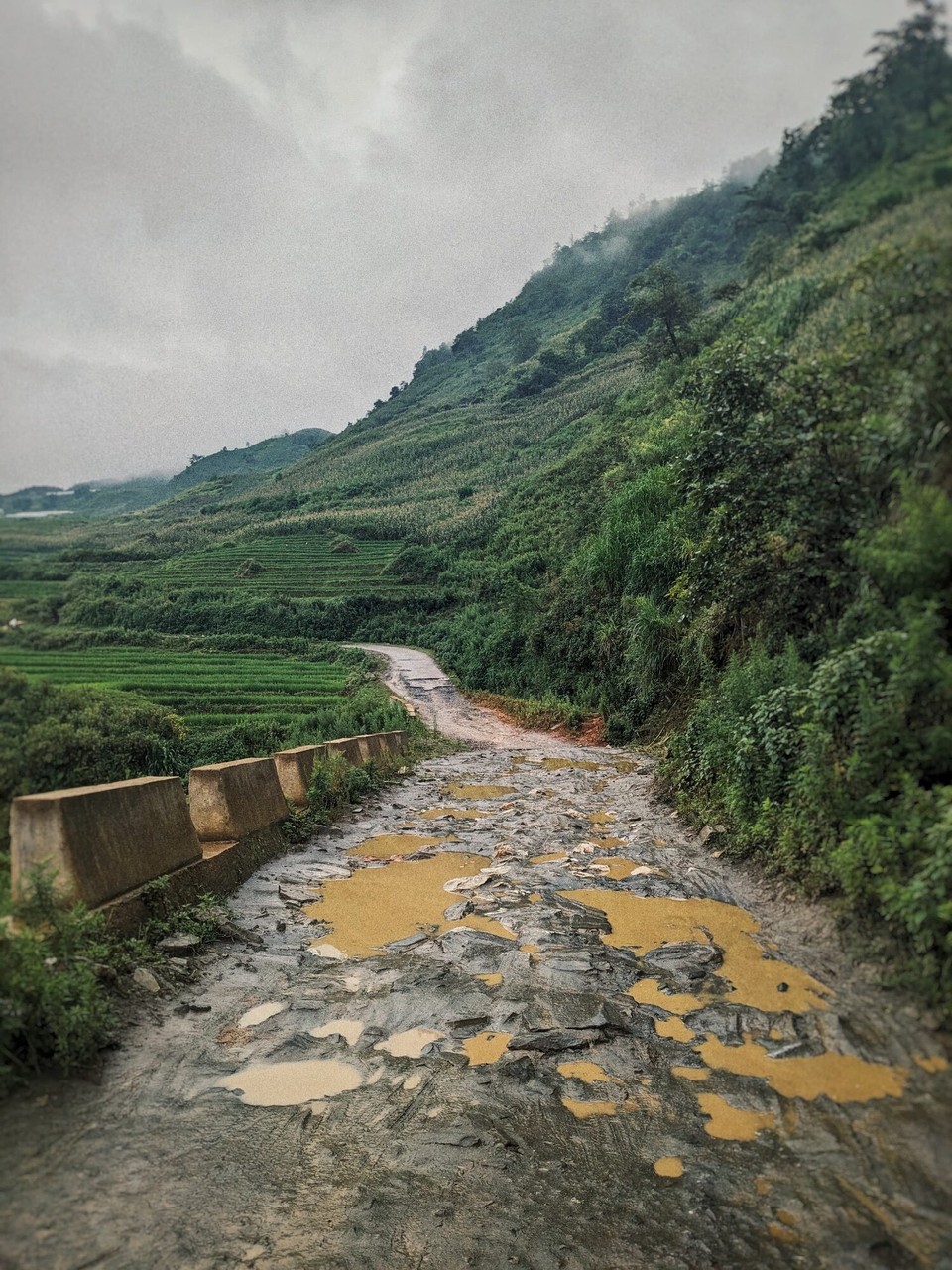 Vietnam - Sa Pa - 🫣