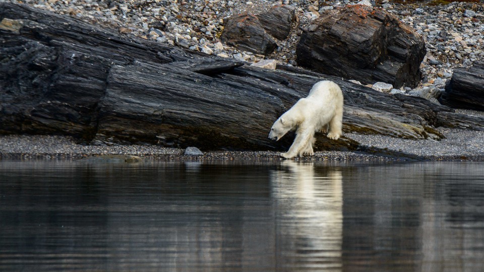 Svalbard und Jan Mayen - Longyearbyen - 