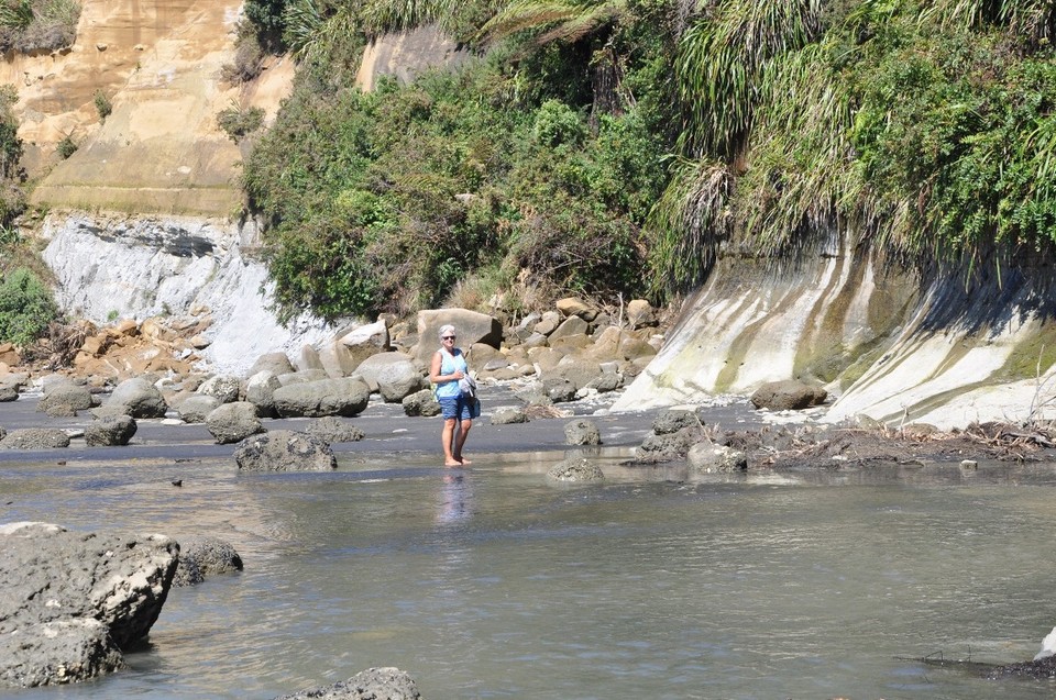 Neuseeland - Waitomo-Distrikt - Meine Begleiterin am Watten