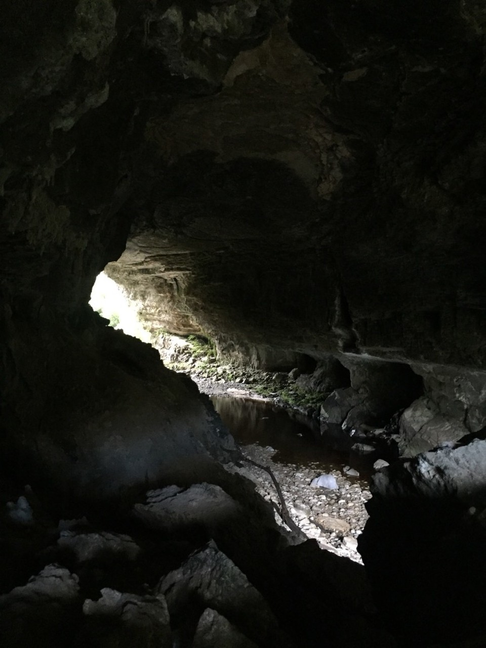 Neuseeland - Oparara River - 