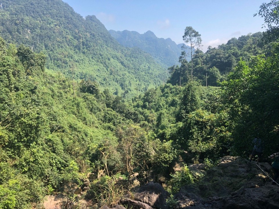 Vietnam - H. Bố Trạch - So viel grün... und die Geräusche...