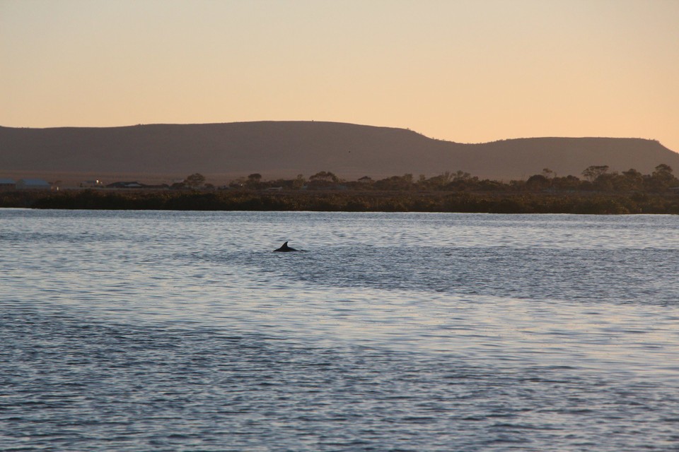 Australien - Norseman - 