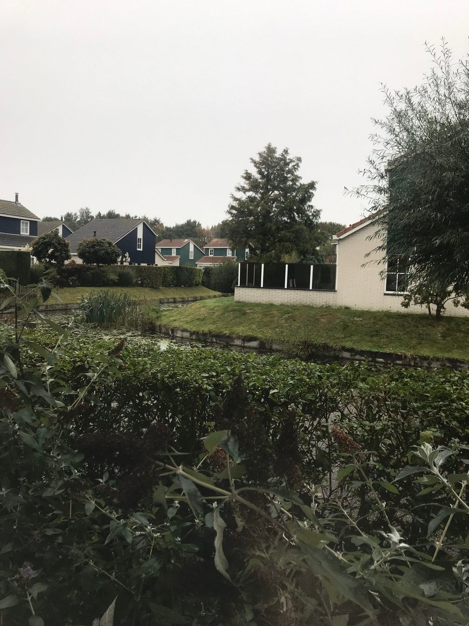 Niederlande - Burgh-Haamstede - Heute morgen noch das tollste Wetter! 